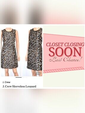 J. Crew Sleeveless Leopard Print Shift Dress - Black & Brown
